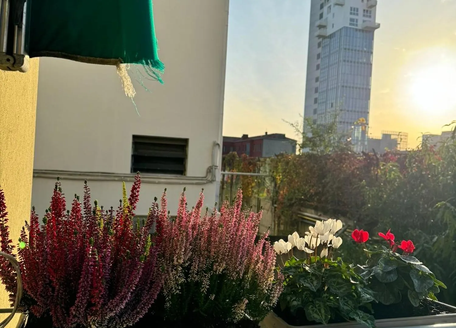 Venice Grey Apartment